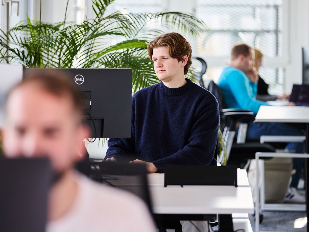 Mehrere lise-Entwickler*innen sitzen an ihren Arbeitsplätzen und arbeiten an ihren Projekte in einem hellen Raum mit einer großen Pflanze